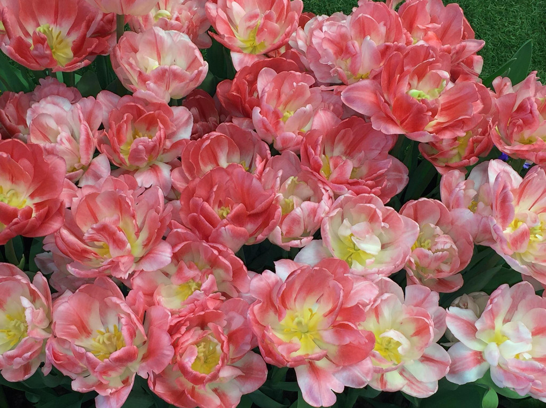 DEZ Einkaufszentrum-卡塞尔行政区必去景点