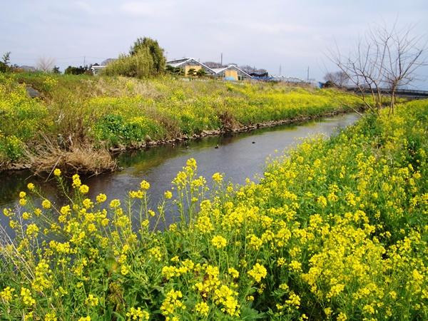 Mekujiri River-神奈川县必去景点