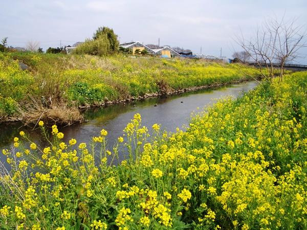 Mekujiri River景点图片