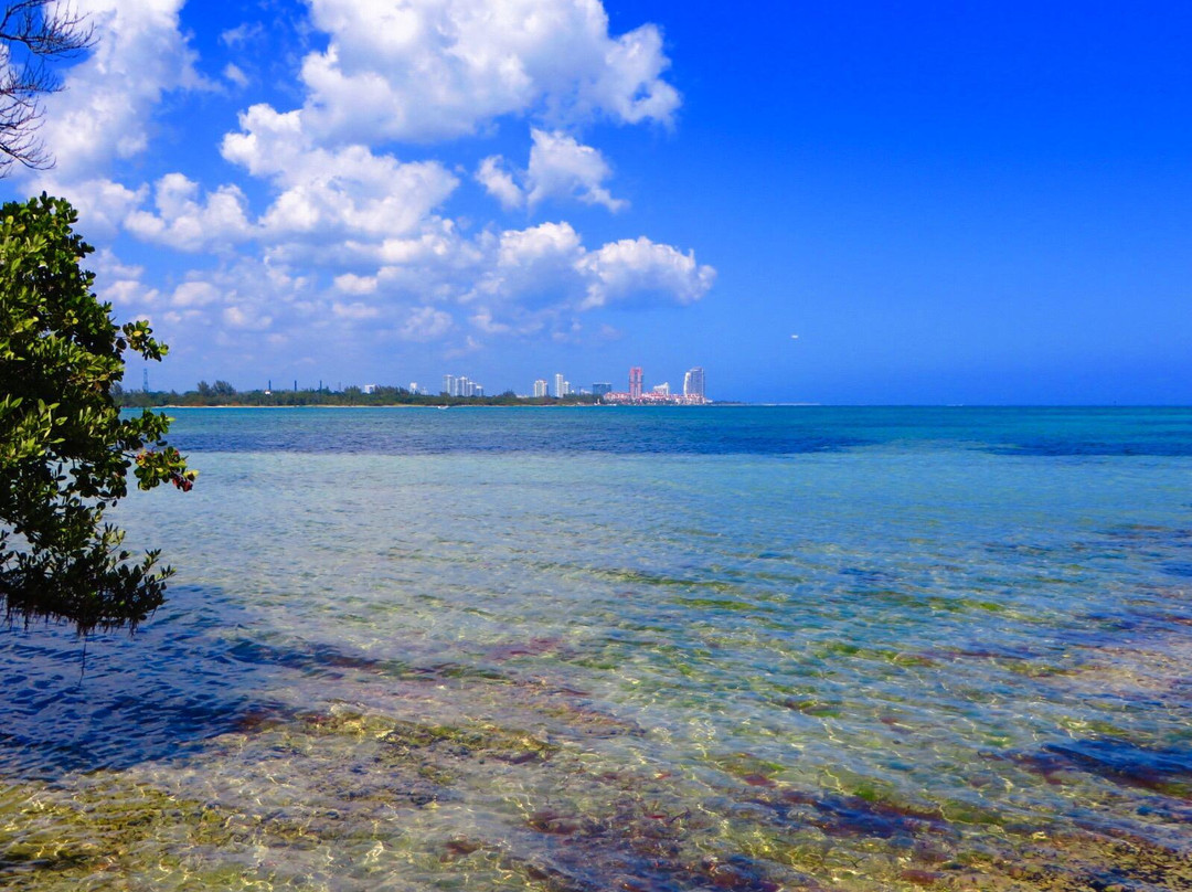 Bear Cut-比斯坎湾必去景点