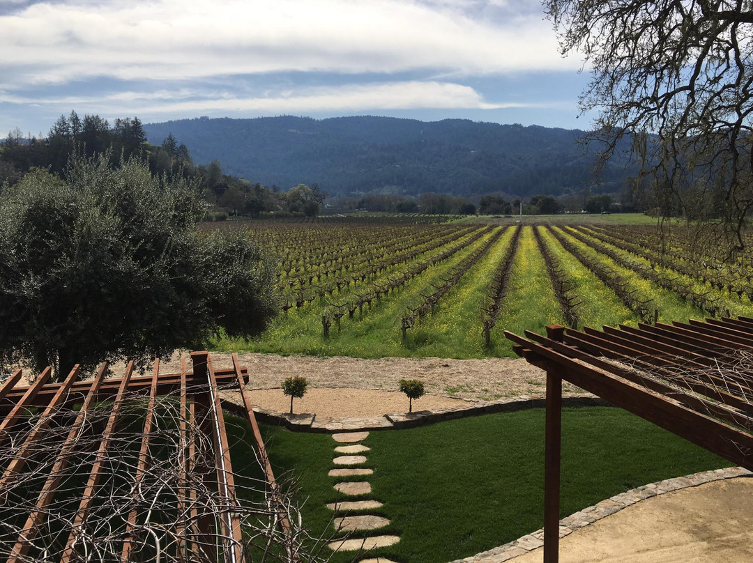 Venge Vineyards-卡利斯托加必去景点