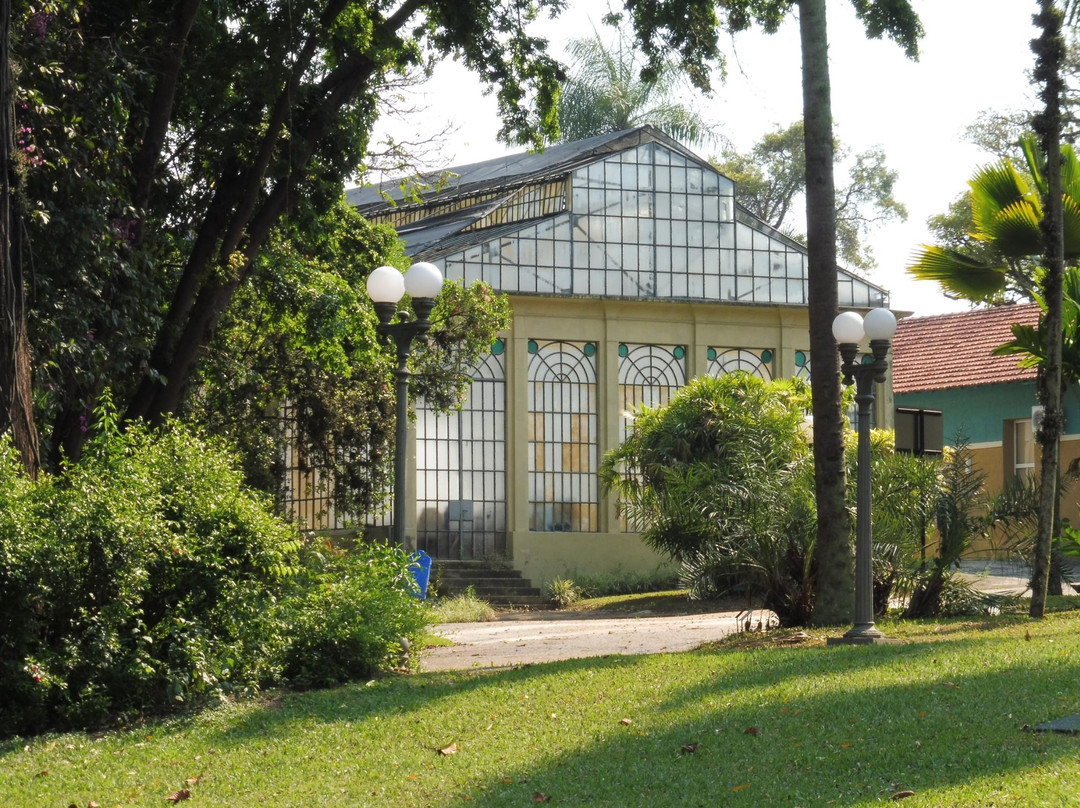 Botanical Garden of the Agronomic Institute-坎皮纳斯必去景点