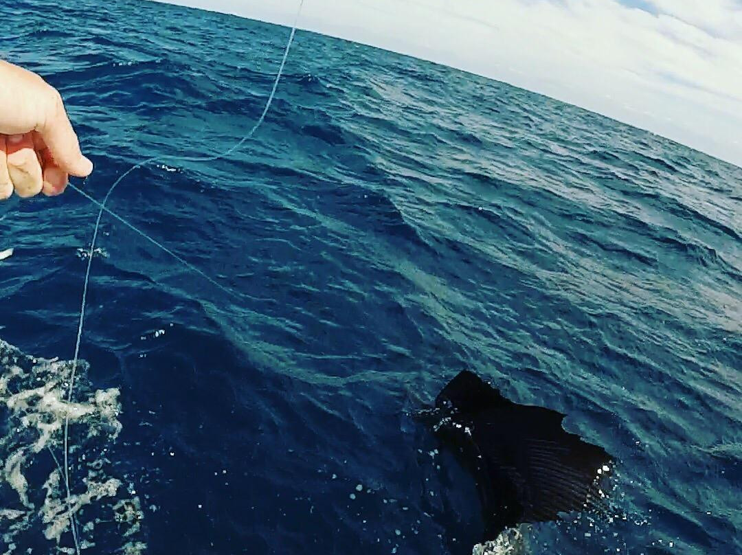 Lawless Sport Fishing Charters-Palm Beach Shores必去景点