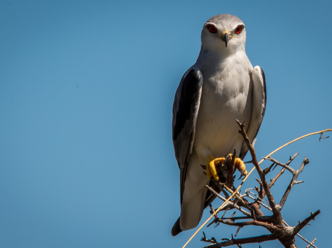 Namibia Reservations-奥奇瓦龙戈必去景点