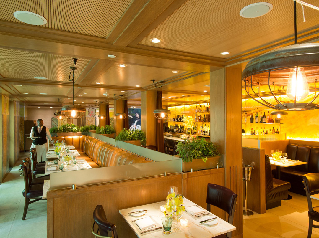 Magdalena, A Maryland Bistro