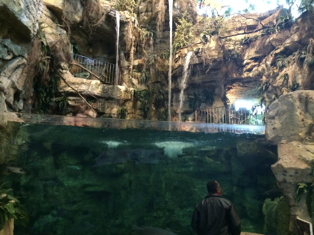 Bass Pro Shops-Spanish Fort必去景点