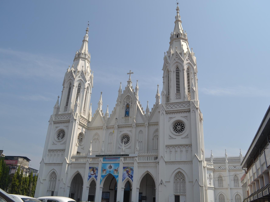 Bible Tower景点图片