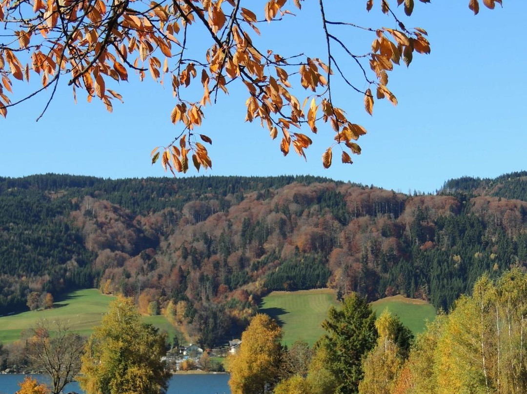 Irrsee-Oberhofen am Irrsee必去景点