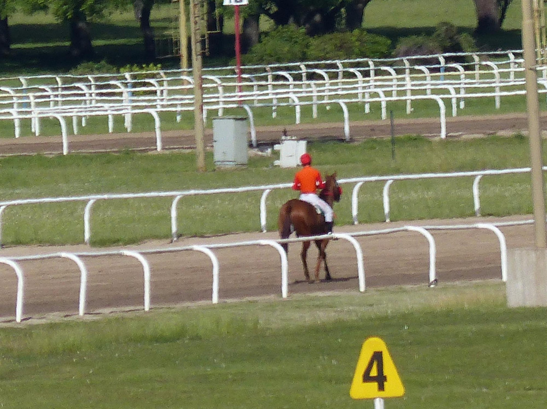 Hipodromo de San Isidro景点图片