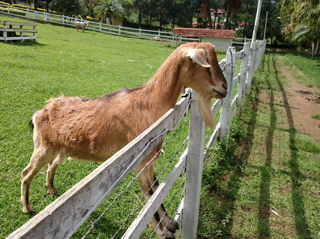 Pousada Rural Recanto Feliz主图