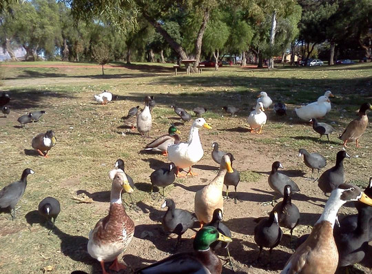 Lindo Lake County Park-Lakeside必去景点