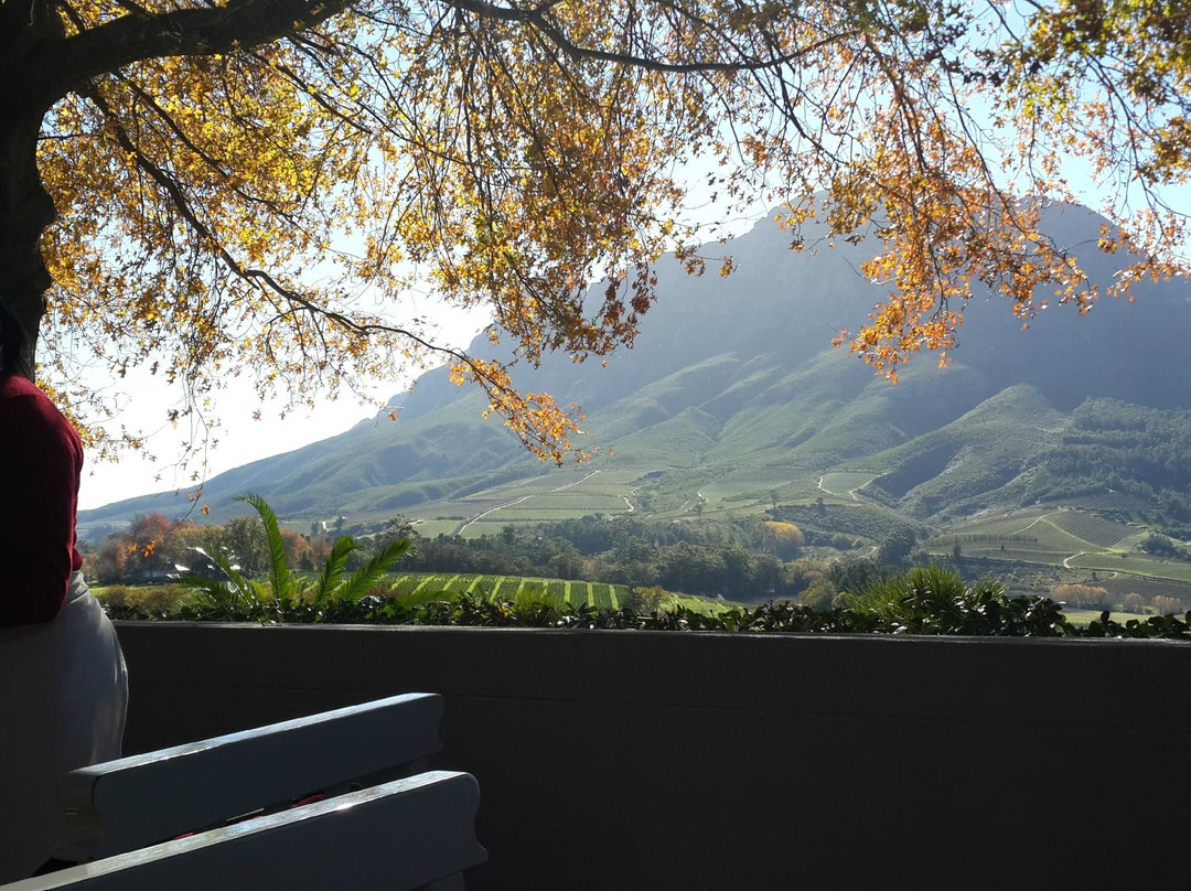 Wow Cape Town Tours-开普敦中心区必去景点