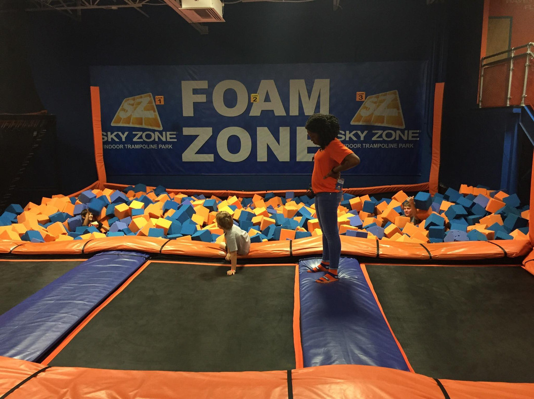 Sky Zone Trampoline Park景点图片