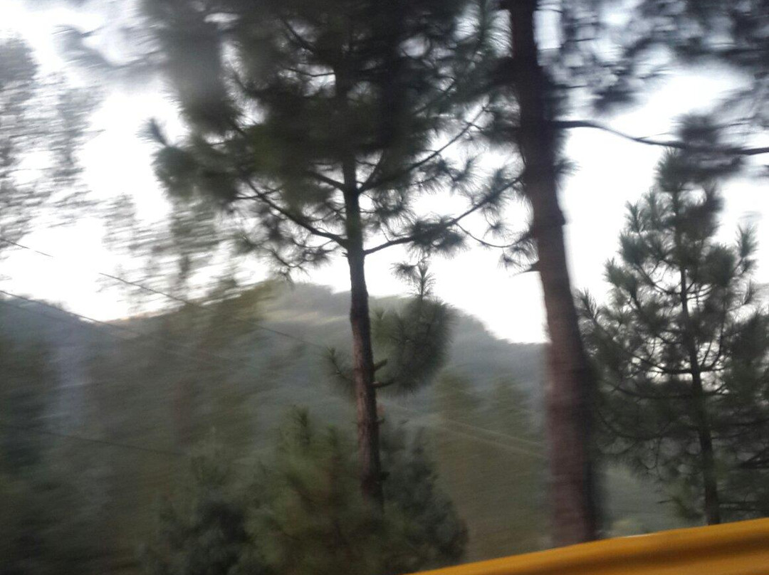 Pindi Food Street-拉瓦尔品第必去景点