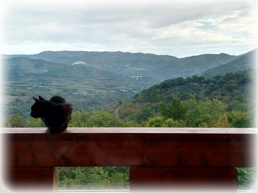 Chalet dei Parchi - Bed & Breakfast主图