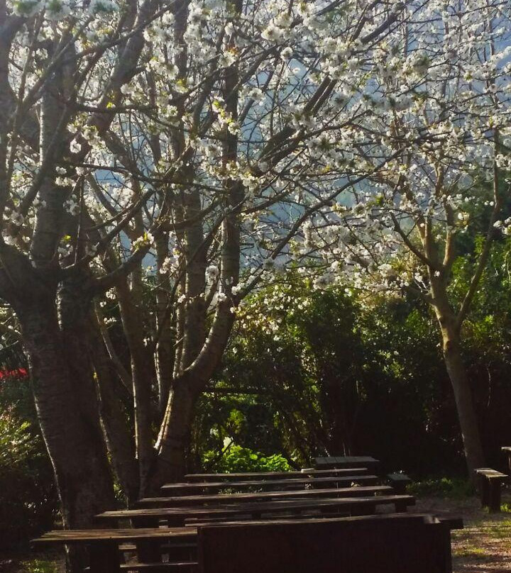 Azienda Il Giardino di Diana-Nemi必去景点