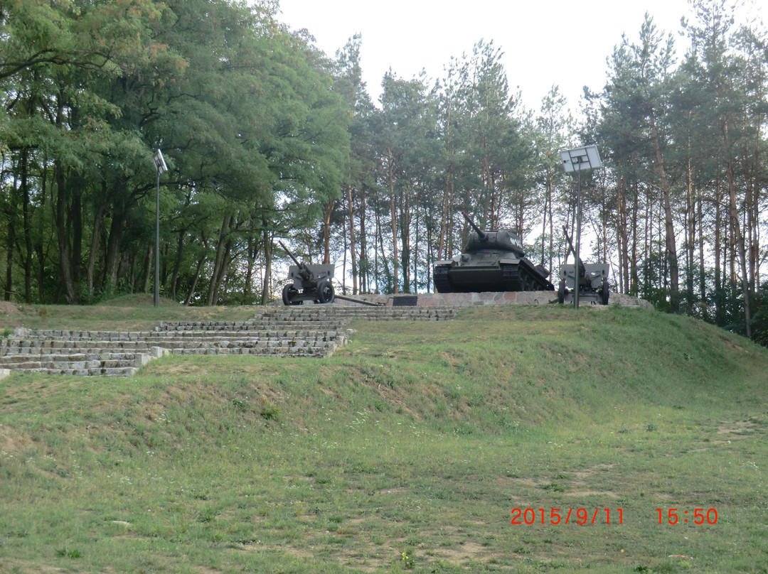 Nadnarwiański Szlak Schronów Bojowych景点图片