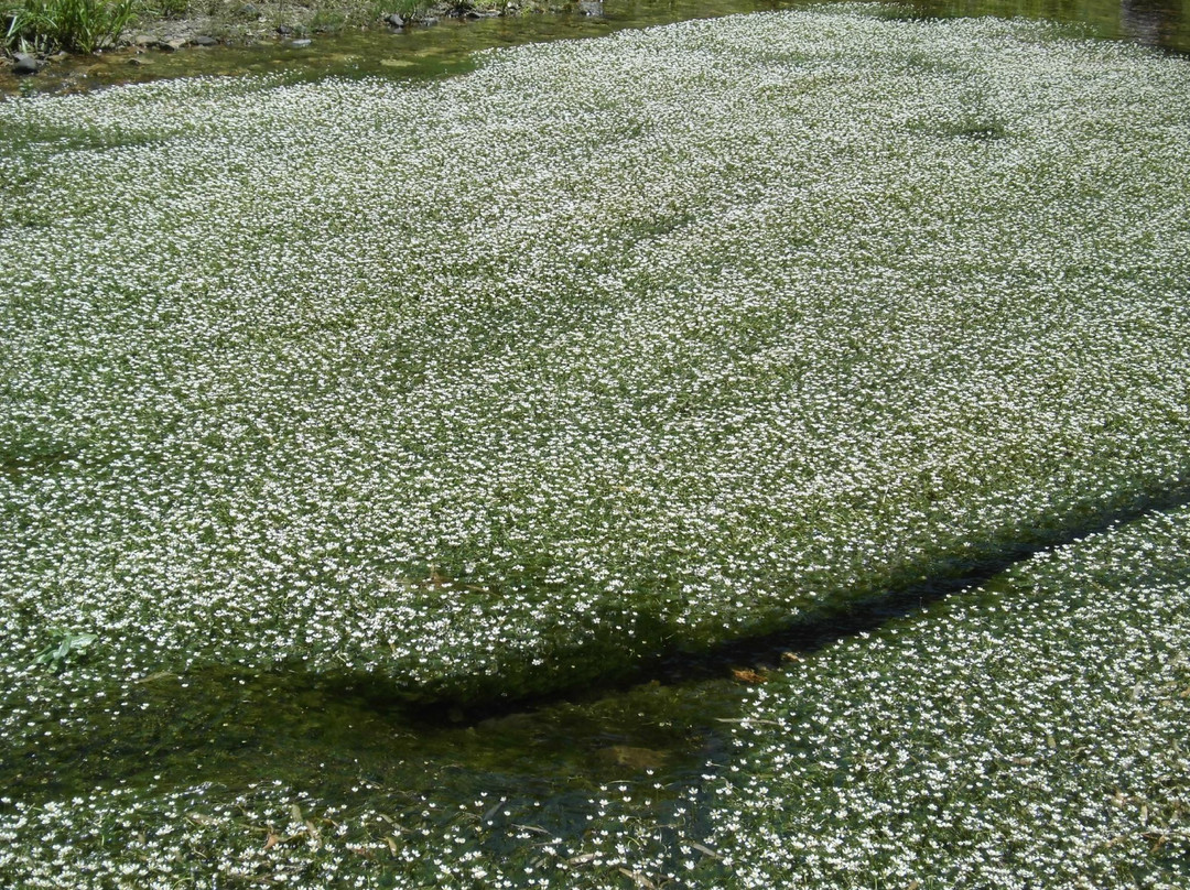 Baikamo Park-新温泉町必去景点