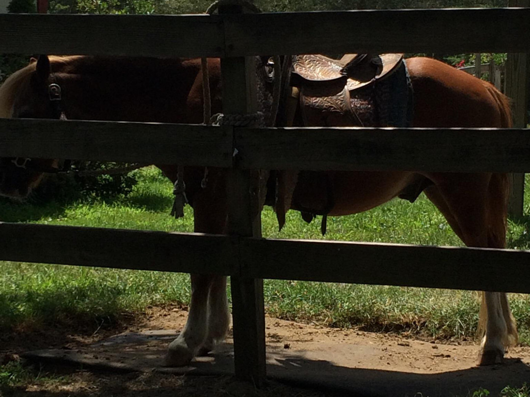 Sunset Stables-Lincoln必去景点