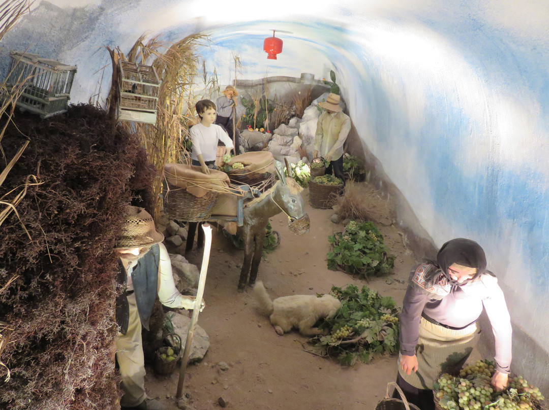 葡萄酒博物馆-Vothonas必去景点