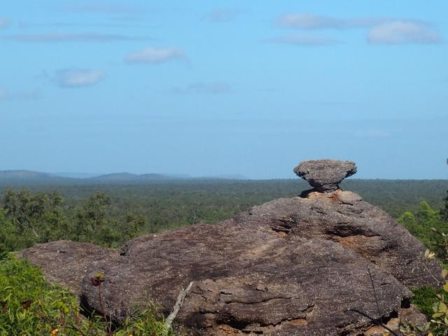 Experience the Wild-达尔文市必去景点