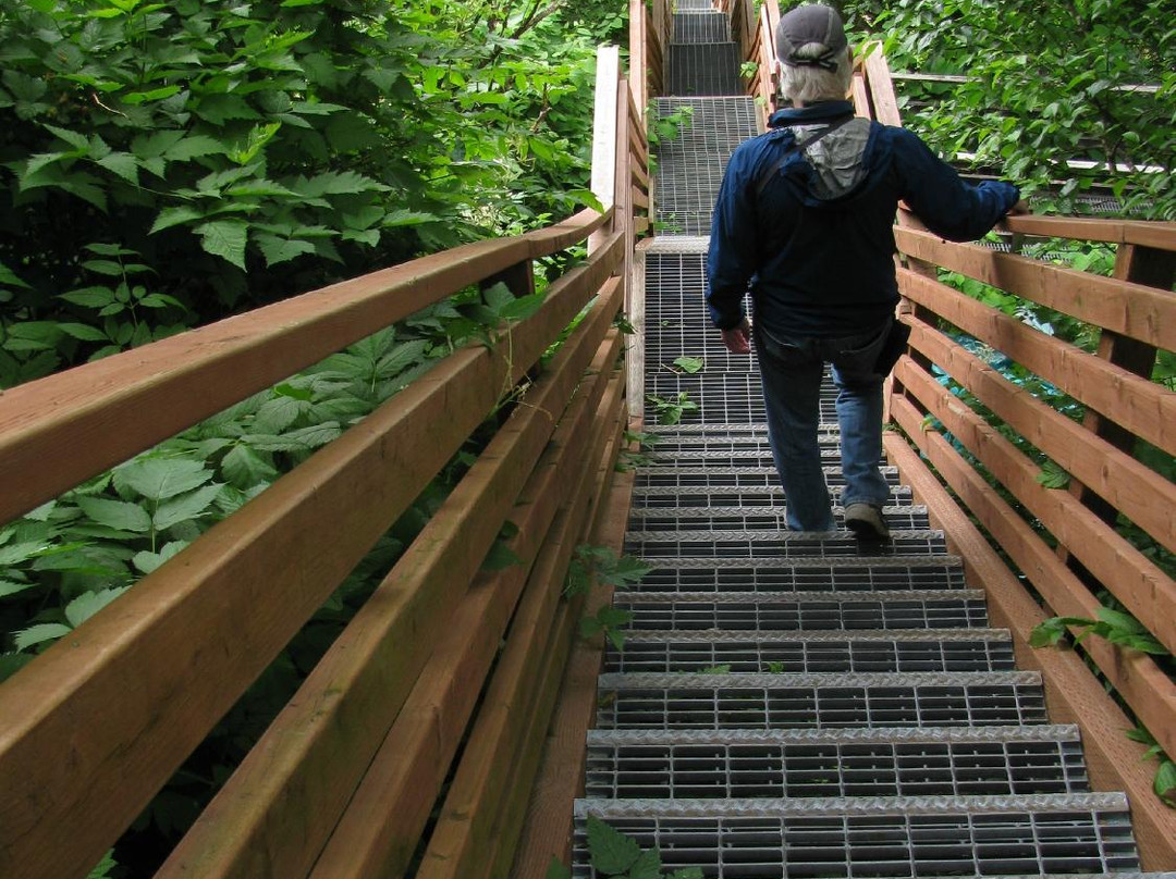 Juneau-Douglas City Museum-朱诺必去景点