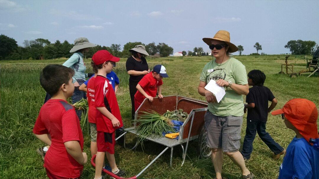 Angelic Organics Learning Center-Caledonia必去景点