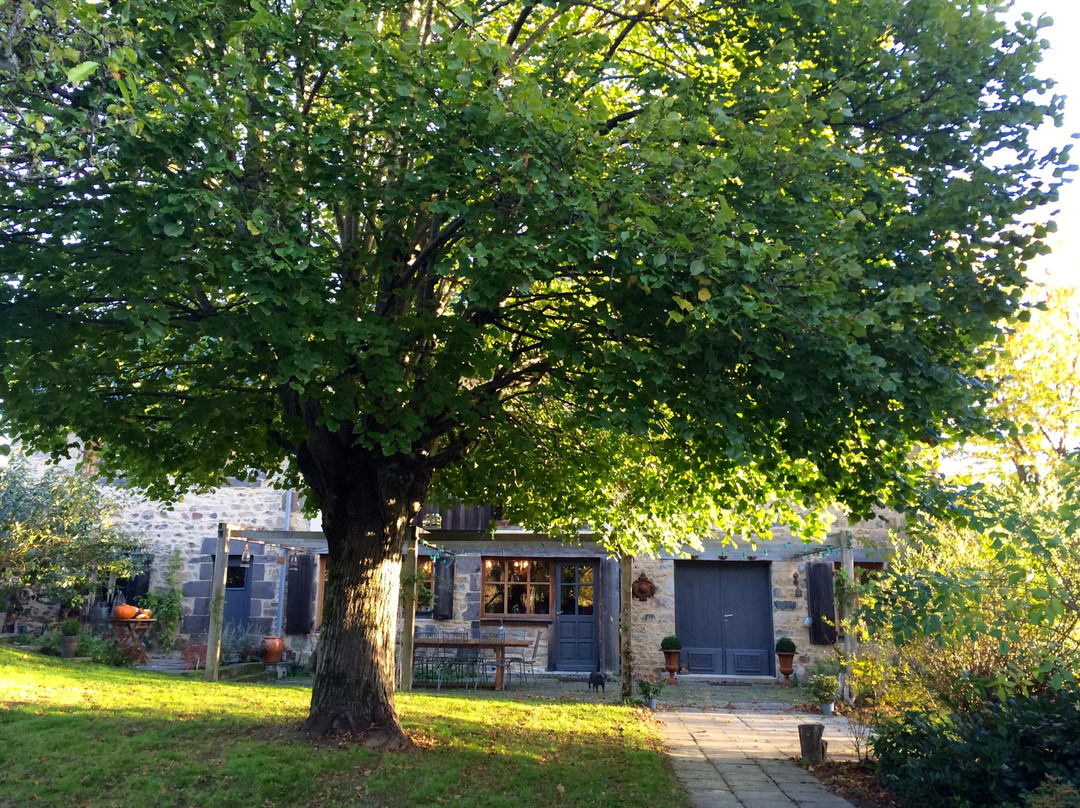 Saint-Remy-de-Blot旅游攻略图片