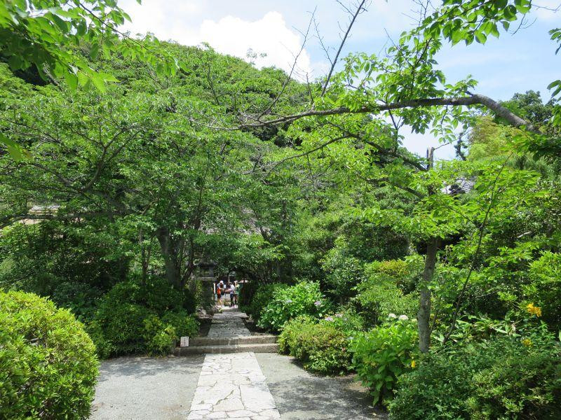 Myo-in temple-镰仓市必去景点