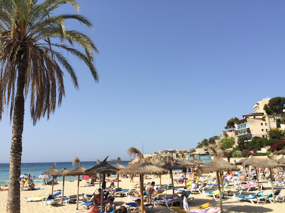 Playa de Cala Mayor景点图片