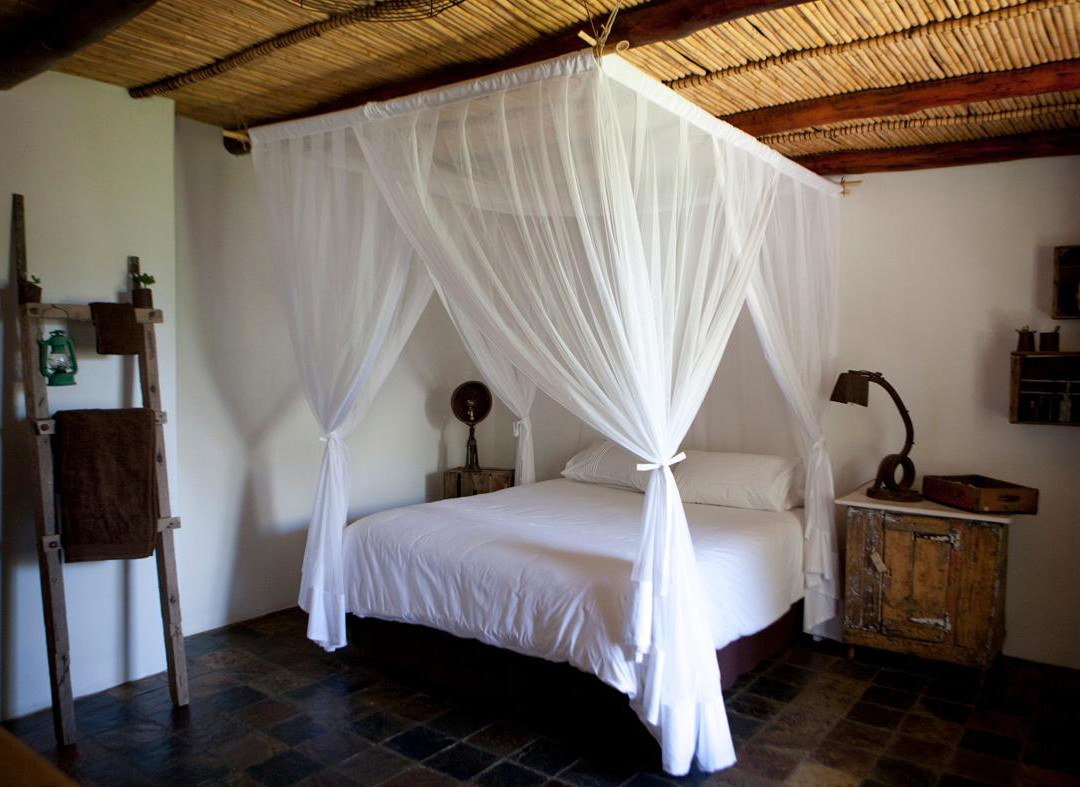 Karoo Khaya