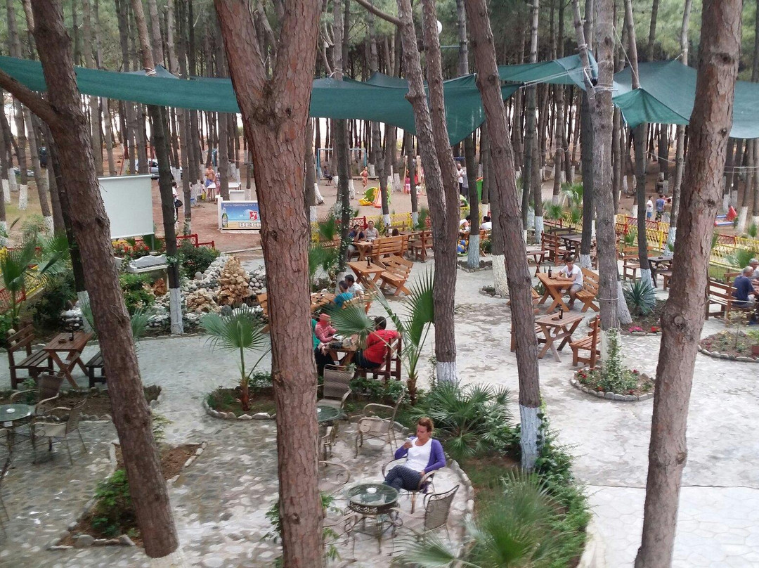 Spille Beach-Spille必去景点