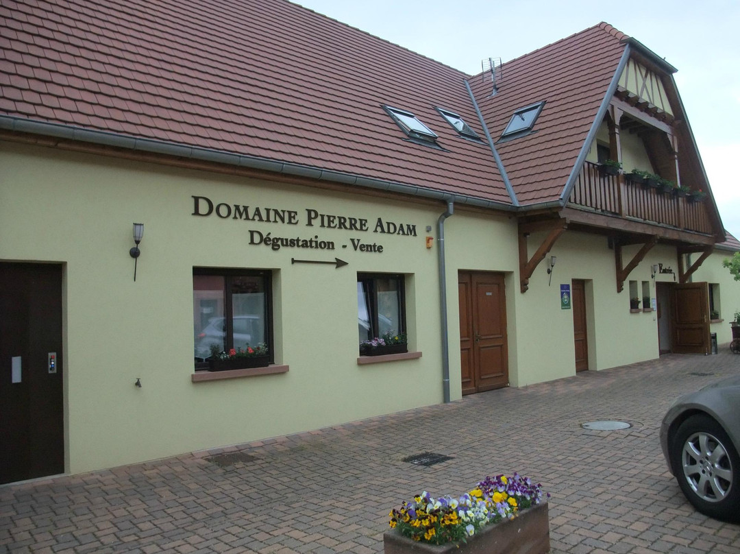 Domaine Pierre Adam景点图片