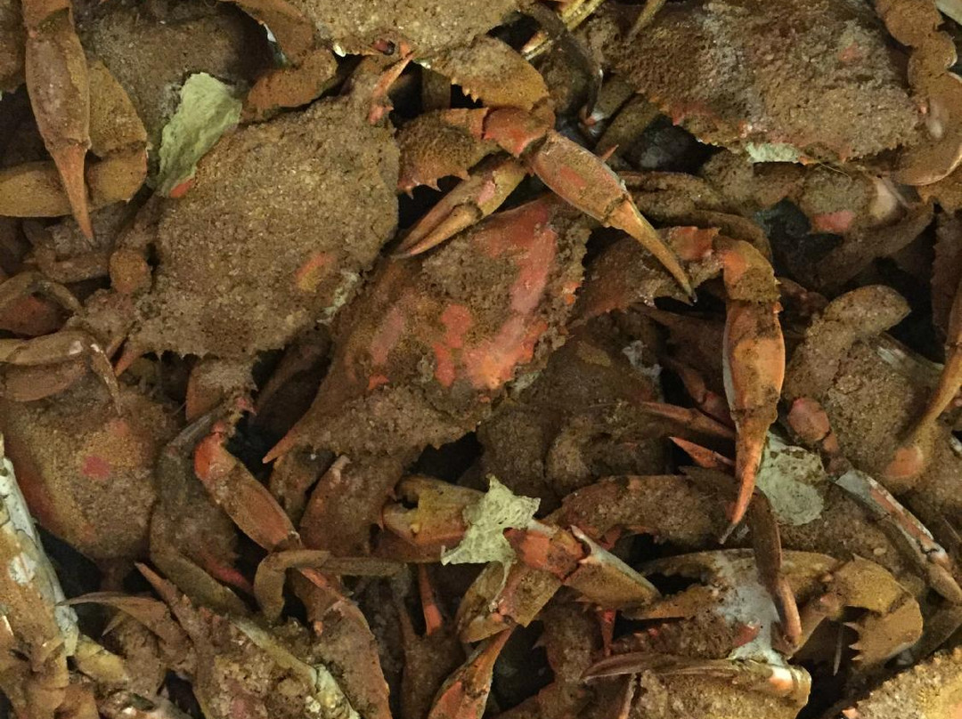 Captain Trey's Crabs & Seafood