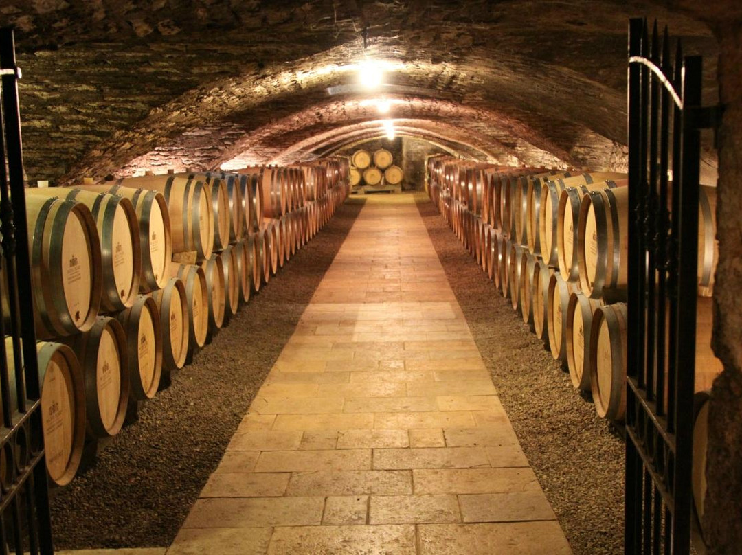 Divine Bourgogne Tours-博讷必去景点