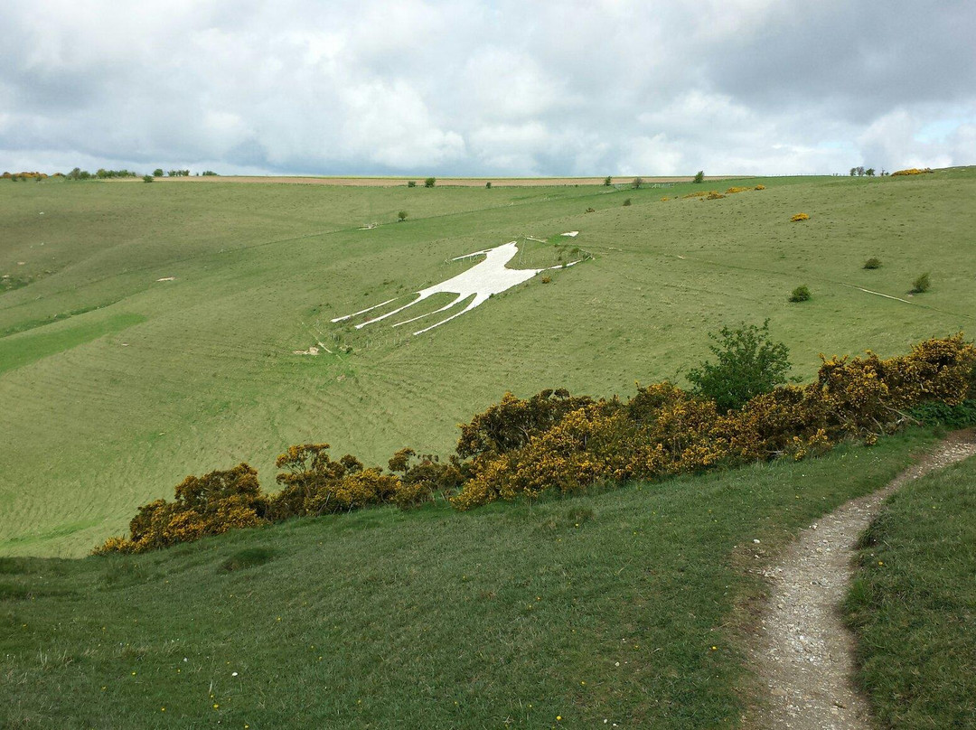 Pewsey White Horse景点图片