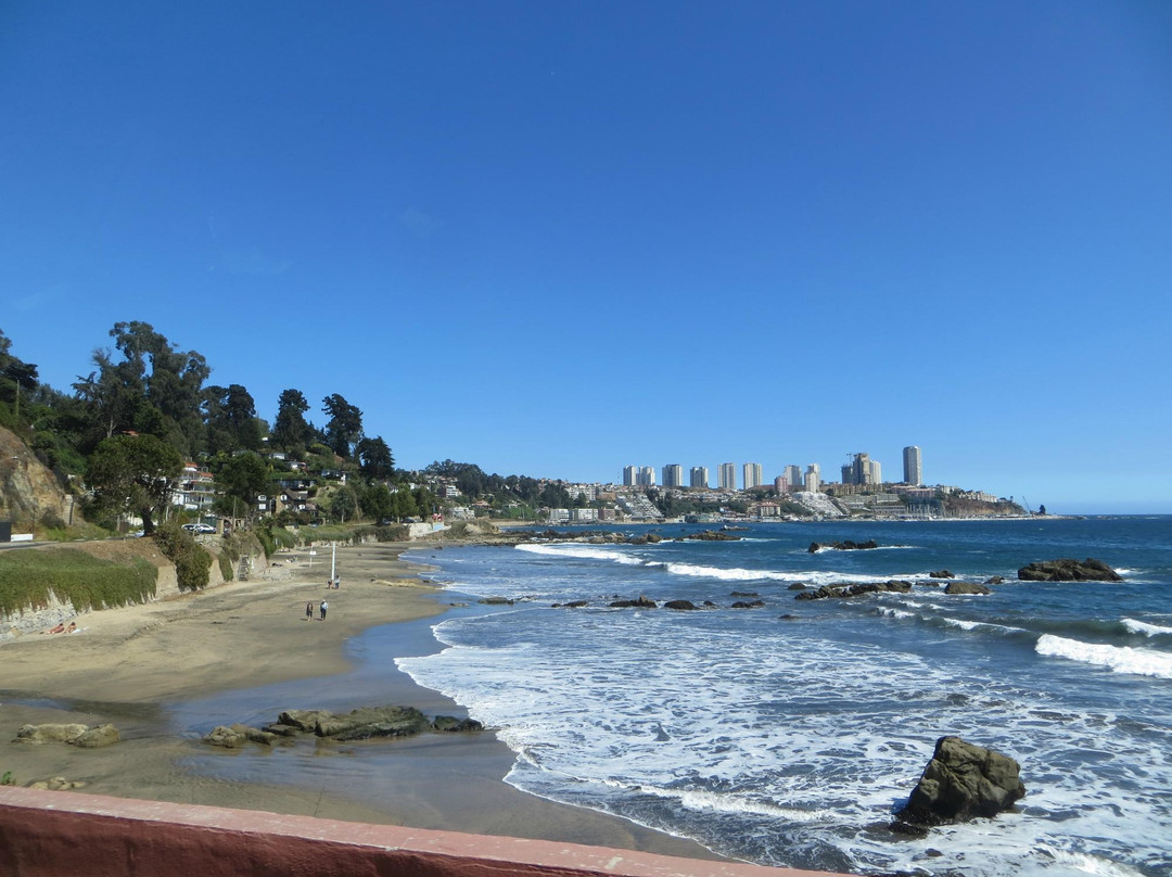 Mywaychile- Day Tours-Olmue必去景点