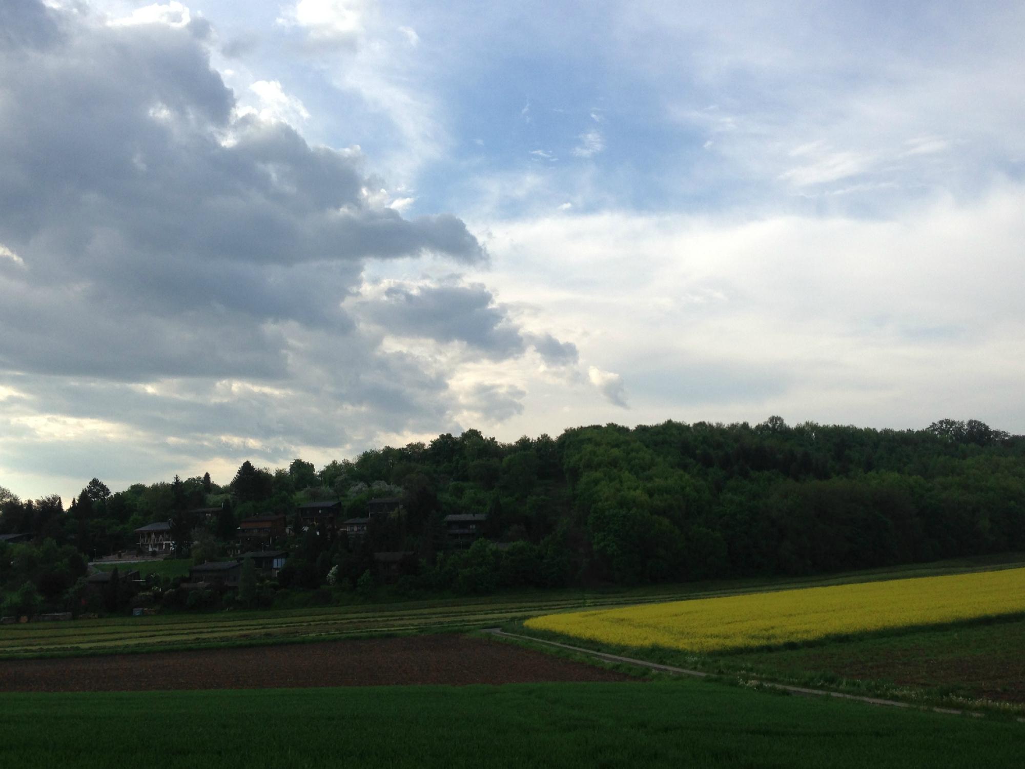 Seegasthof-客卧