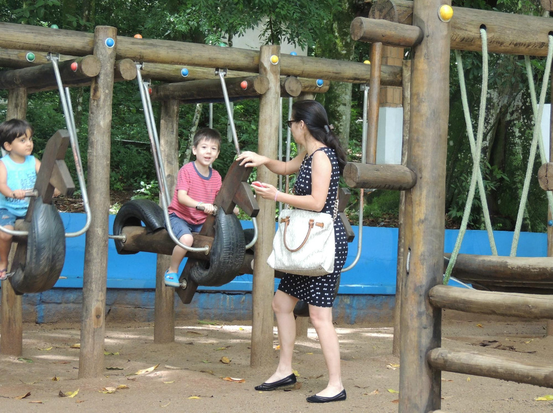 Bosque Estadual-Aguas da Prata必去景点
