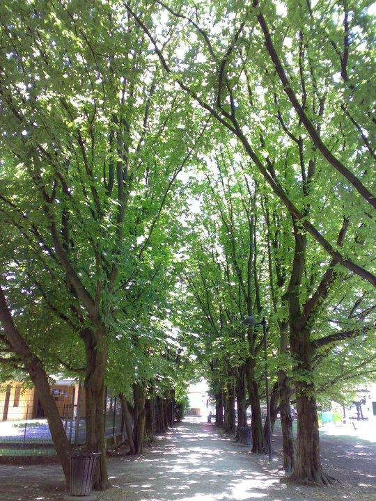 Parco Milcovich-帕多瓦必去景点