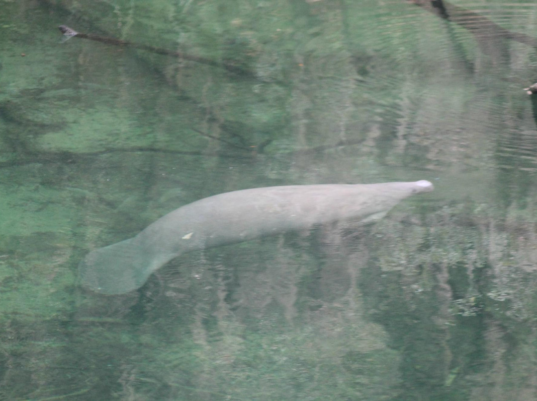 Thursby House-橙县必去景点