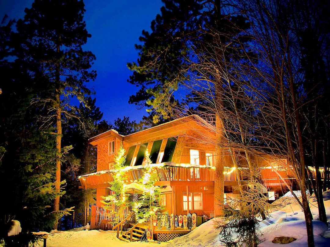 Wintergreen Dogsled Day Trips-伊利必去景点