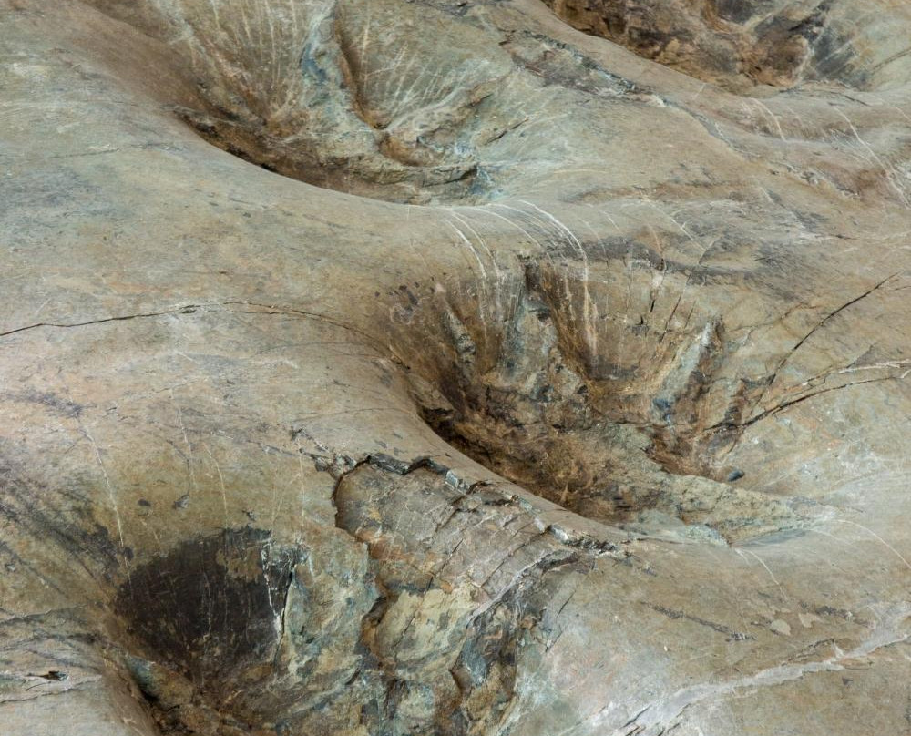 Haenam Dinosaur Museum-海南郡必去景点