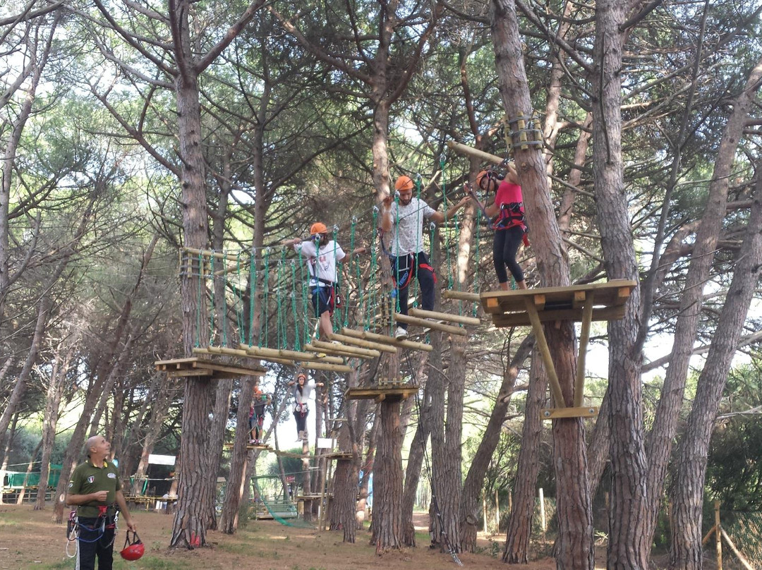 Park Adventure Bosco Isola景点图片