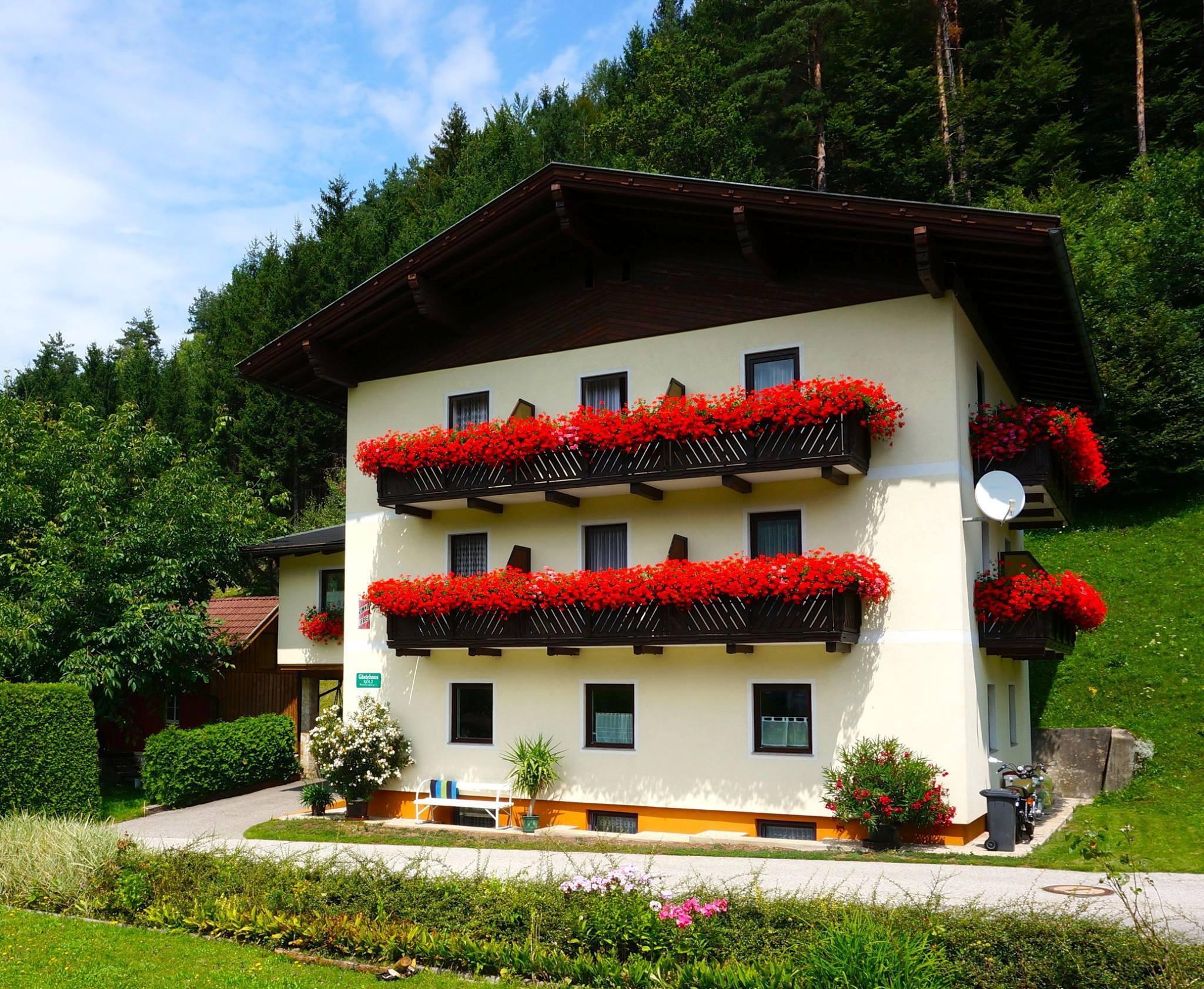 Haus Peter-官方
