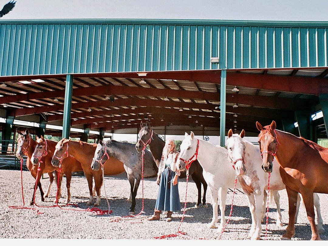 Arizona Equestrian Connection景点图片