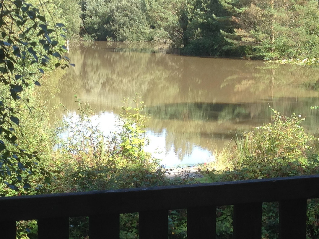 Kingslakes Holiday Cottages-埃克塞特必去景点