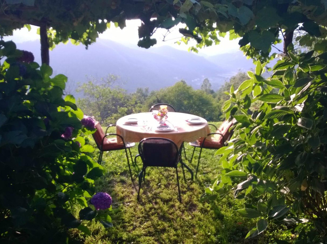 Il Gumo Agriturismo