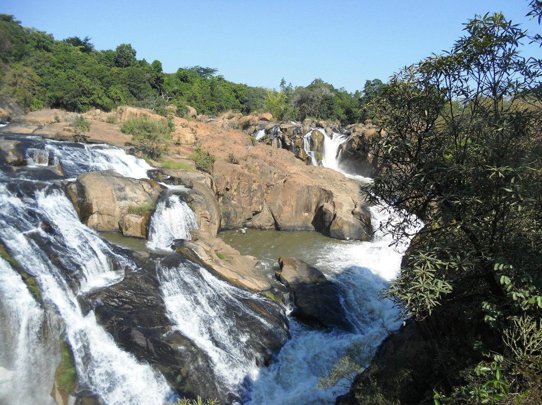 Lowveld National Botanical Garden景点图片