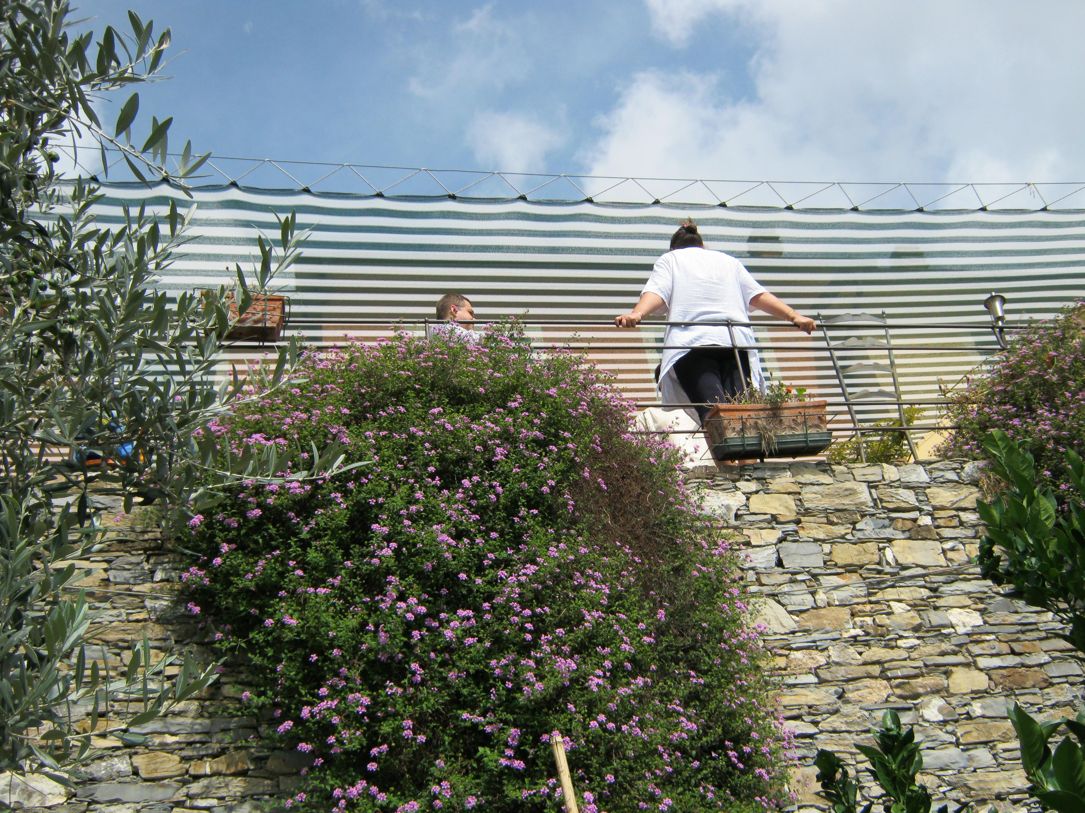 B&B Azalea-酒店景观